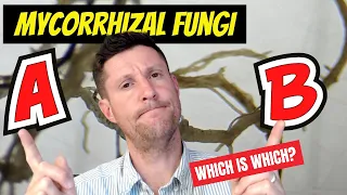 Mycorrhizal Fungi | Know what type you need in your garden