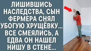 Лишившись наследства, сын фермера снял убогую «хрущёвку»… Все смеялись, а едва он нашел нишу в стене