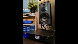 Sony SS-CS5 Budget Friendly Reference Speaker Honest Audiophile impressions