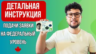 Как податься на PR на федеральный уровень? Всё, что нужно знать!