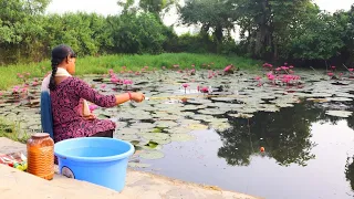 Fishing Video🐠🐬|| The girl is fishing with a hook in a pond full of shaluk flowers || Fish hunting🎣