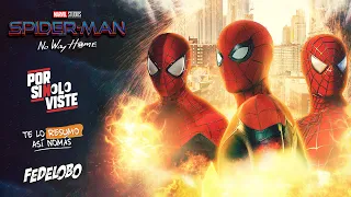 Spider-Man No Way Home | RESUMEN con Fedelobo y Te Lo Resumo