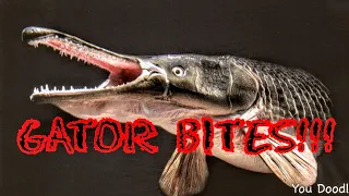 The TRUTH about Gar Fish. (How to clean & Cook Gar)