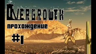 Стрим по Overgrowth #1! Заходи!