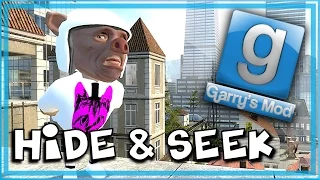 Garry's Mod Bird Mod! - Gmod Hide and Seek Funny Moments - Flying, Elevator of Doom!