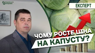 Ціна на капусту в Україні б'є рекорди: чи буде вона зростати