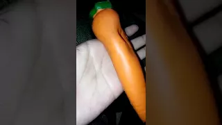 Carrot Squishy