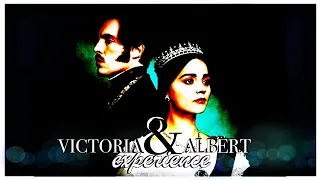 ►  Victoria & Albert - "this is not mariage of inconvenience"