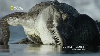 Hostile Planet | Mondays at 8 PM