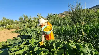 KIZLARIMI ÜZMEYİN | ÖZLEM’DEN AÇIKLAMA | AKŞAM YEMEĞİ İÇ HARÇ ÇİÇEK DOLMASI ÖZLEM’DEN