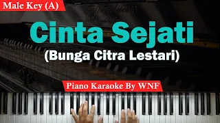 BCL - Cinta Sejati Karaoke Piano Male Key/Pria