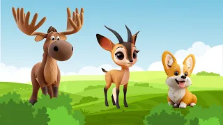 Lovely animal moment Moose, Gazella, Corgi | Animals sound✨