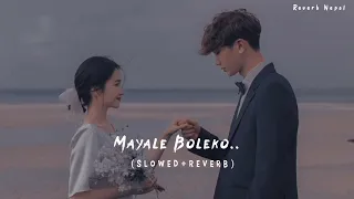 Mayale Boleko_(Slowed+Reverb) Sugam Pokharel