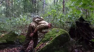 Mysterious stones  of Usmansky forest. Geology.