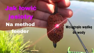 Jak łowić jesiotry na Method feeder  *wciągnęło mi wędkę do wody* Tęczowe Łowisko