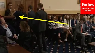 Anti-Israel Protesters Interrupt Blinken's Testimony After He Criticizes ICC Charges Against Israel