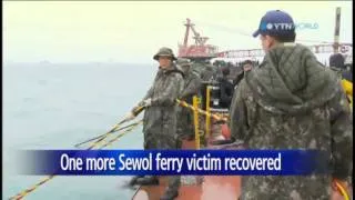 Divers recover body of 295th victim from Sewol ferry wreckage / YTN