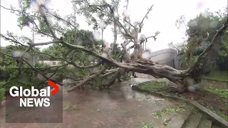 Typhoon Khanun hits Japan, knocks out power for 200,000