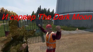 DayZ TheDarkMoon как я провел судную ночь и первый день после вайпа