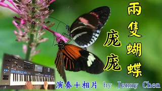 兩隻蝴蝶/ 龐龐 Two Butterflies 演奏+相片 by Jenny Chen /Yamaha Genos