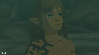 The Legend of Zelda : Tears of the Kingdom - 100% No Damage 1/
