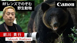 【前川 貴行】RFレンズでのぞむ野生動物【RF100-300mm F2.8 L IS USM】Canon CP+2024