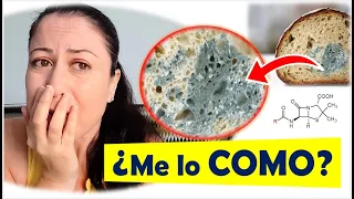 ¿¡SE PUEDE COMER!?¿Qué pasa si ME COMO un PAN CON MOHO?