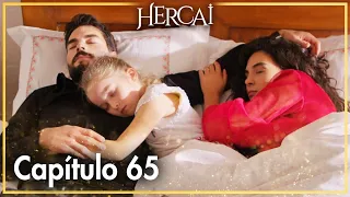 Hercai - Capítulo 65