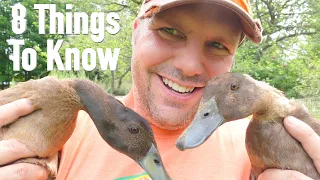 8 Things To Know Before Getting Ducks
