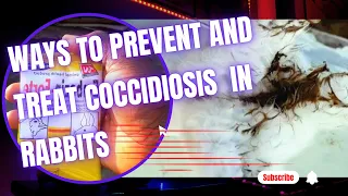 PREVENTION AND TREATMENT OF COCCIDIOSIS IN RABBITS, @scentfarms