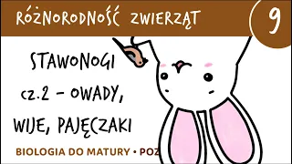 Różnorodność zwierząt 9 - Stawonogi (owady, wije, pajęczaki) - matura z biologii rozszerzona