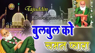 Tajuddin Baba Qawwali❤️Bul Bul Ko Chaman Pyra ❤️Superhit Qawwali ❤️Tajuddin Baba Hits Qawwali 2024❤️