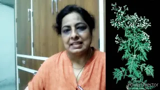 my SKIN ALLERGY-   My mistake  -parthenium plant/congress plant/gajar buti