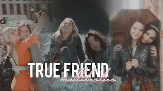 ♛True Friend | Multibesties♛