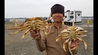 How to catch crab with a crab hawk - Oregon crabbing