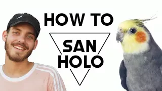 HOW TO SAN HOLO