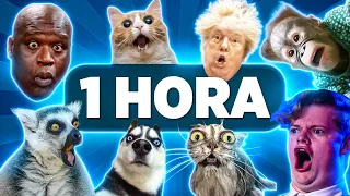 1 HORA DE COSAS QUE NO SABÍAS! 👀⏰  [XpressTV]