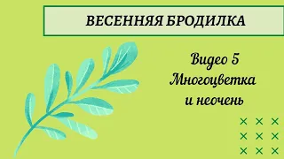 5. Вышивальная весенняя бродилка. Ползем дальше!