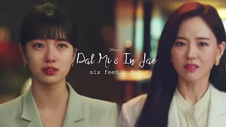 SIX FEET UNDER  |  Dal Mi & In Jae ❝cosmos flower❞ (Start Up)