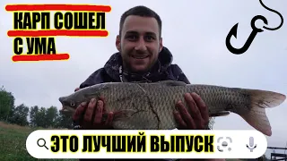 ПРИГЛАСИЛИ НА ПЛАТНИК И ЧТО Я УВИДЕЛ ?! КАРП СОШЕЛ С УМА!