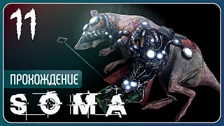 Структурный гель ⚉ SOMA #11