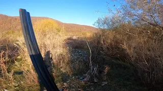 ნადირობა ტყის ქათამე. Woodcock hunting (2022)