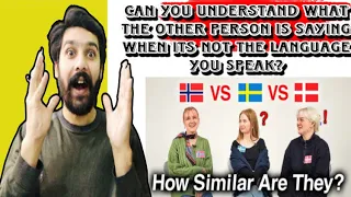 Can Nordic Countries Understand Each Other (Danish, Swedish, Norwegian) Reaction