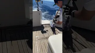Deep Sea Fishing Adventure in Hawaii