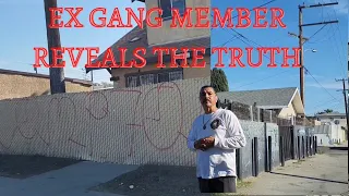 Inside Los Angeles Gangs/Inside Los Angeles Gang Crisis/Ex Gang Member Interview/Los Angeles Gangs