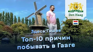 Здесь Гашев. Топ-10 причин побывать в Гааге