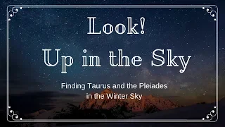 Finding Taurus the Bull and the Pleiades in the Winter Sky