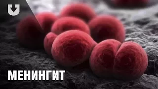 Все, что нужно знать о менингите