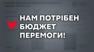 «Батьківщина» вимагає перерозподілити кошти на оборону та соціалку