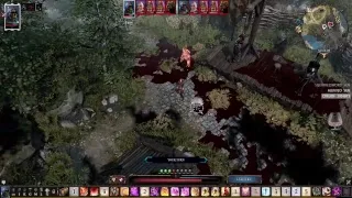 Divinity Original Sin 2 Definitive Edition on Solo/Summoner/Tactician! (Part 4)